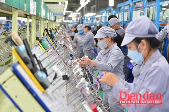 Cắt giảm đơn giản hóa quy định về kinh doanh: Vẫn còn băn khoăn về tính thực chất