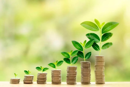 Đề xuất thành lập Quỹ hỗ trợ chuyển đổi xanh