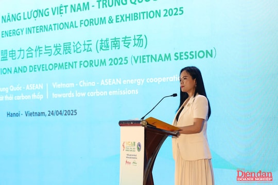 "Tư nhân hoá hợp tác khu vực" - giải pháp đột phá chuyển dịch năng lượng xanh