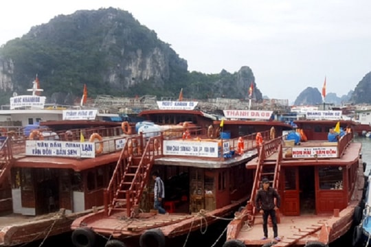 Chặn tàu cá '3 không' khai thác trên ngư trường