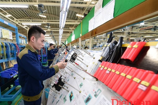 Giới hạn thanh tra, kiểm tra: Tạo xung lực cho kinh tế tư nhân bứt phá