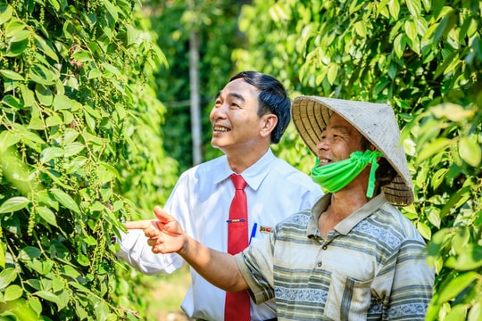 Nghị quyết 68: 5 nhóm chính sách lớn phát triển kinh tế tư nhân