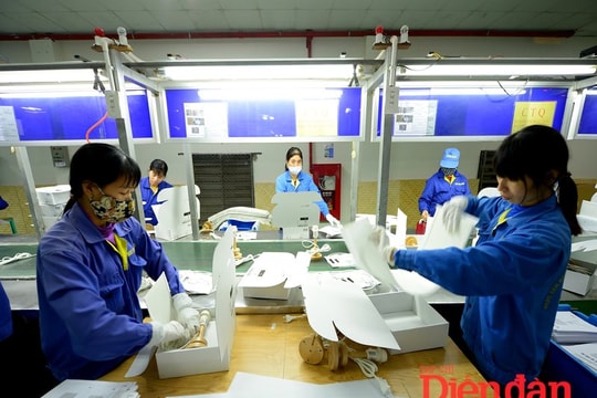 Sửa Luật Doanh nghiệp: Đảm bảo đáp ứng cam kết quốc tế