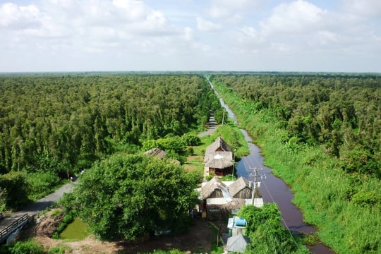 Xem xét luật hoá tín chỉ carbon là tài sản đảm bảo