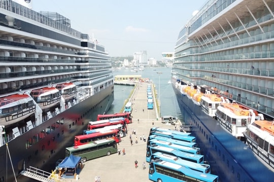 Quảng Ninh: Tăng cường hút khách du lịch tàu biển quốc tế
