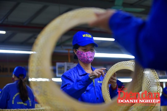 Sửa Luật Việc làm: Cần tăng cường bảo vệ quyền và lợi ích cho người lao động