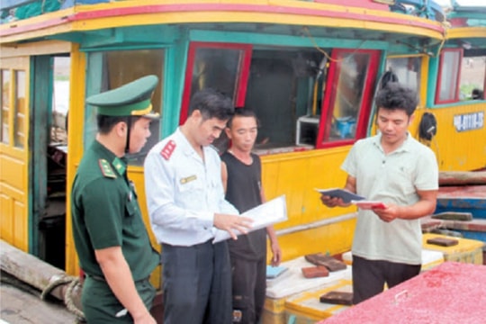 Thái Bình: Nhiều giải pháp chống khai thác IUU