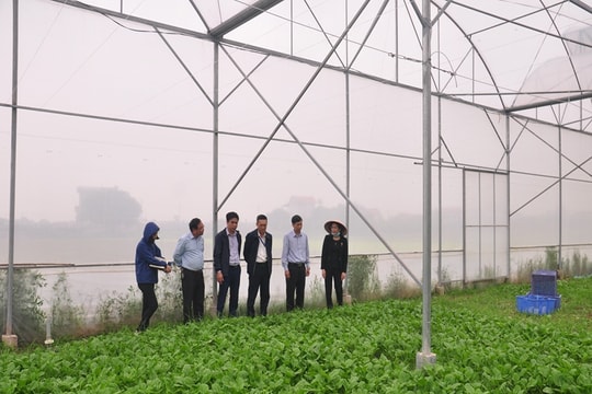 Hải Phòng "bơm" vốn lớn, mở đường cho nông nghiệp công nghệ cao cất cánh