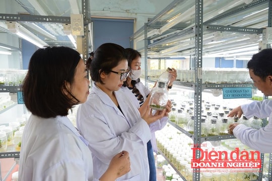 Dự thảo Luật Khoa học, công nghệ và đổi mới sáng tạo: Cân nhắc điều chỉnh một số khái niệm