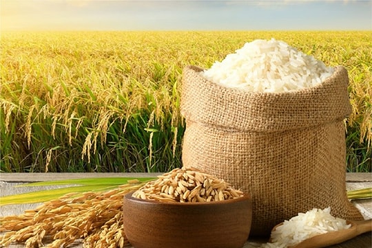 Chuyển đổi hệ thống lương thực và con số 40 tỷ USD