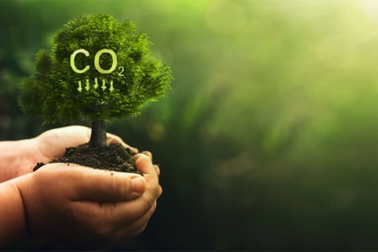 Thu hút tư nhân tham gia thị trường carbon