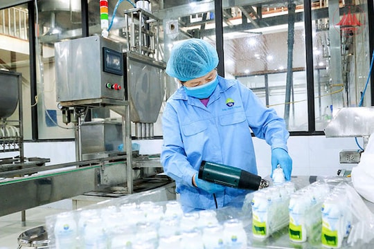 Vĩnh Phúc đẩy mạnh phát triển nông nghiệp sinh thái, ứng dụng khoa học công nghệ