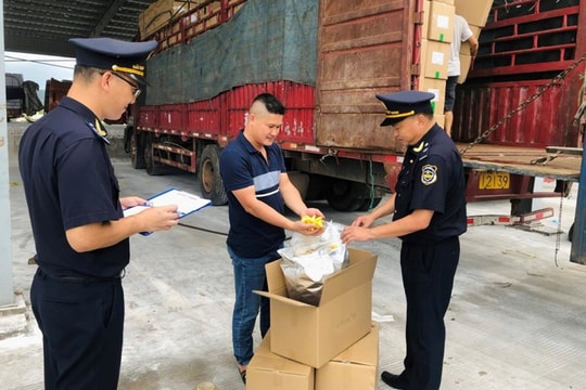 5.206 vụ buôn lậu, gian lận thương mại bị lực lượng Hải quan phát hiện, bắt giữ và xử lý