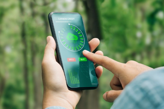 Rào cản của tín chỉ carbon: Từ tài sản vô hình đến tài sản bảo đảm