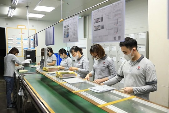Hải Phòng: Từng bước hiện thực hoá mục tiêu tăng trưởng xanh