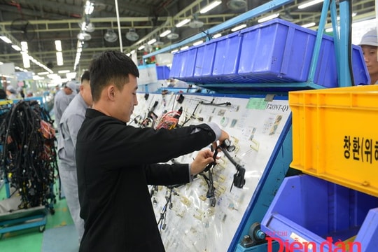 Cần chính sách ưu đãi thuế linh hoạt cho doanh nghiệp vừa và nhỏ