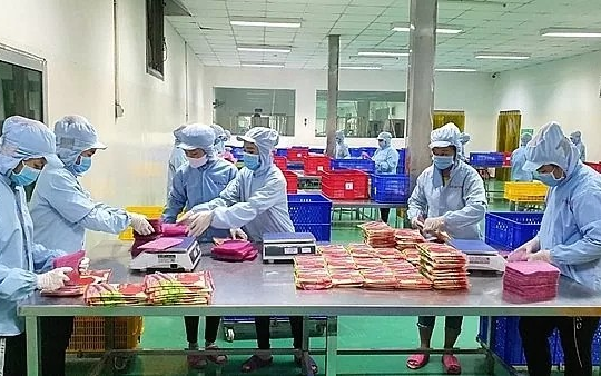 Thủ tục hợp quy: Gánh nặng cần xóa bỏ