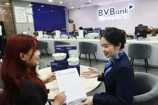 BVBank: Tăng trưởng tín dụng gần 14%, cho vay cá nhân và SME là trọng tâm