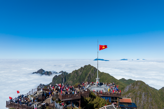 Fansipan: Địa điểm ngắm hoa hồng đẹp nhất miền Bắc