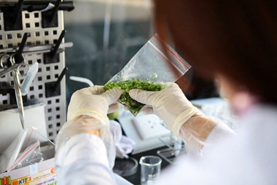 Sửa Luật Chất lượng sản phẩm, hàng hóa: Vẫn còn nhiều băn khoăn