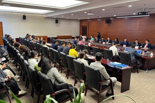 Long An – Liêu Ninh (Trung Quốc): Từ kết nối chiến lược đến hành động thực chất