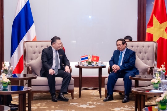 Tập đoàn Charoen Pokphand củng cố hợp tác, mở rộng đầu tư tại Việt Nam