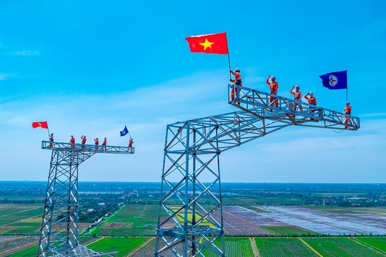 Kỷ niệm 135 năm ngày sinh Chủ tịch Hồ Chí Minh: Tổng công ty Truyền tải điện Quốc gia làm theo lời Bác!