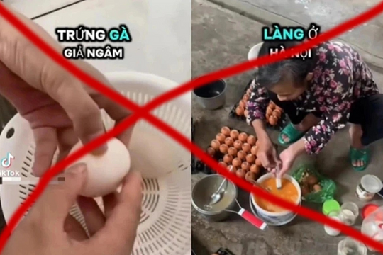 Trứng thật vỡ vì tin giả