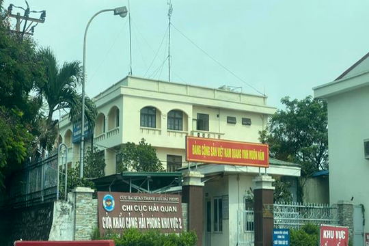 Hải Phòng: Vụ án buôn lậu gỗ hé lộ, nhiều cán bộ hải quan "nhúng chàm"