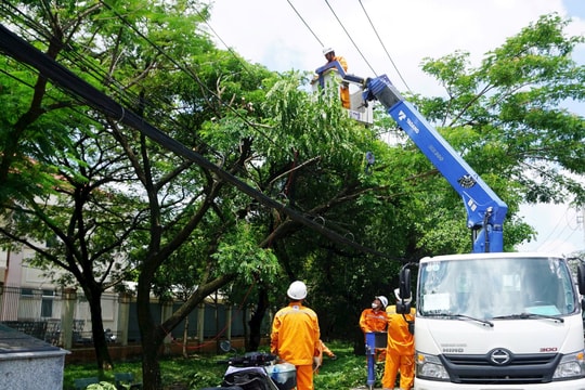 Ngành điện TP.HCM tăng cường an toàn điện mùa mưa, bão