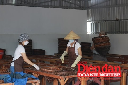 Lan tỏa khát vọng khởi nghiệp Quảng Nam