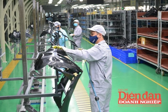 Cần quy định rõ ràng về chủ sở hữu hưởng lợi của doanh nghiệp