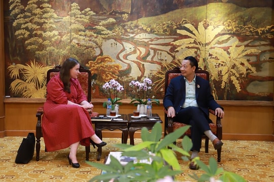 VCCI và New Zealand tăng cường hợp tác kinh tế và phát triển bền vững