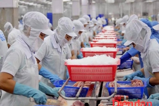 Doanh nghiệp cần chủ động, định vị lại thị trường để “vượt gió ngược”