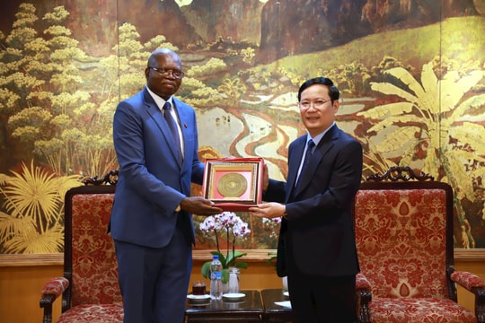 VCCI thúc đẩy hợp tác doanh nghiệp Việt Nam – Angola