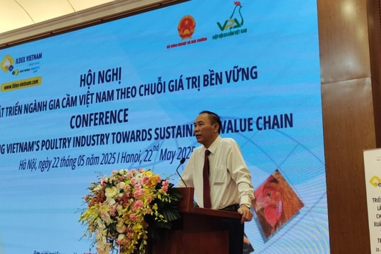 Phát triển ngành gia cầm Việt Nam theo chuỗi giá trị bền vững