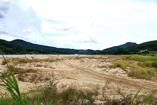 Xử lý nghiêm doanh nghiệp bỏ giá “khủng” ở mỏ cát Quảng Nam