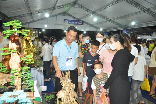Quảng Nam định hướng phát triển Hệ sinh thái đổi mới sáng tạo và khởi nghiệp sáng tạo đến năm 2035