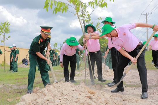 C.P. Việt Nam – Hành trình Việt Nam xanh