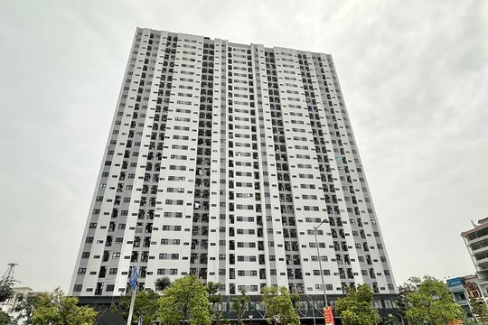 Hải Phòng quản chặt nhà ở công