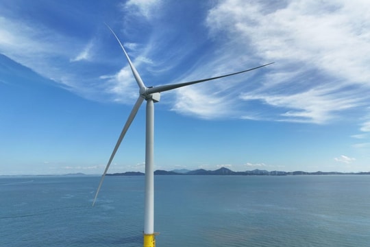 CIP công bố vận hành thương mại dự án điện gió ngoài khơi Jeonnam 1 tại Hàn Quốc