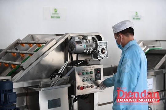 Sửa Luật Tiêu chuẩn và quy chuẩn kỹ thuật: Cân nhắc quy định công bố hợp quy