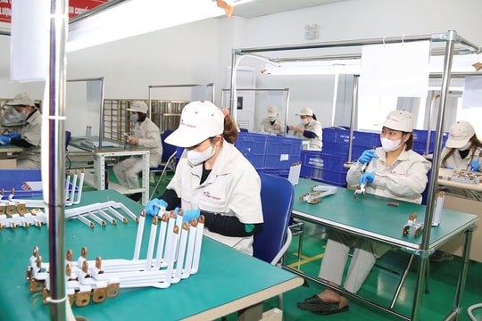 Nghị quyết số 68-NQ/TW: Liên kết doanh nghiệp để cùng tiến xa