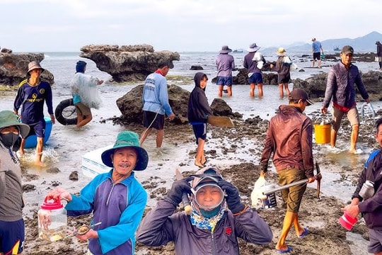 Đưa du lịch Ninh Thuận trở thành ngành kinh tế bền vững