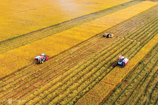 Long An đưa nông nghiệp “cất cánh”