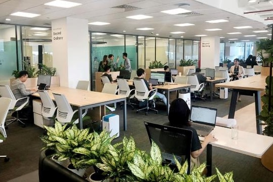 Xu hướng tuyển dụng dựa trên kỹ năng