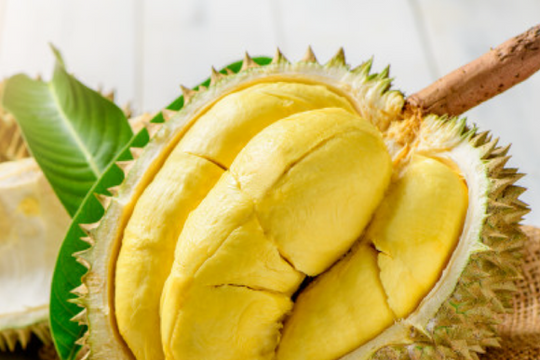 Hải Phòng sẵn sàng kết nối tiêu thụ sầu riêng cho Cần Thơ