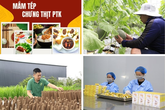 Bắc Ninh: Hỗ trợ doanh nghiệp phát triển sản phẩm OCOP