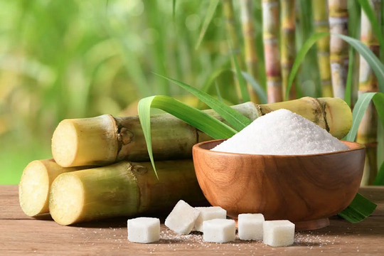 Giá bán giảm, ngành mía đường “bớt ngọt”