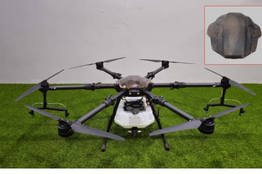 Startup Đông Nam Á thúc đẩy chuyển đổi xanh Startup Đông Nam Á thúc đẩy chuyển đổi xanh